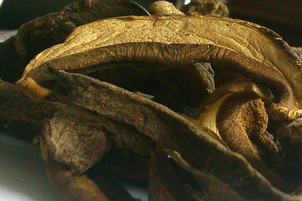 干牛肝菌變黑是壞了嗎，牛肝菌炒出來是黑色的