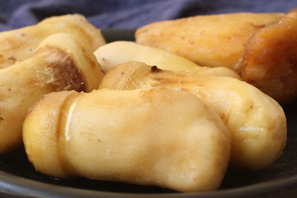 松茸冷凍3年還可以吃嗎 松茸冷凍3年還可以吃嗎