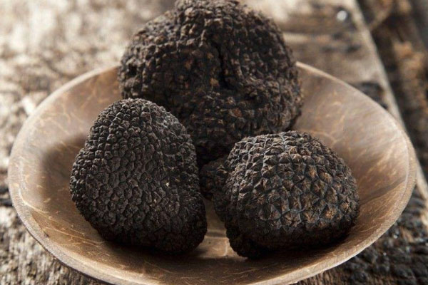 黑松露迷你披薩的功效作用 黑松露迷你披薩的功效作用