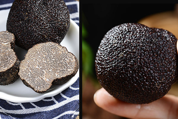 黑松露梅子茶泡飯的禁忌人群 黑松露梅子茶泡飯的禁忌人群