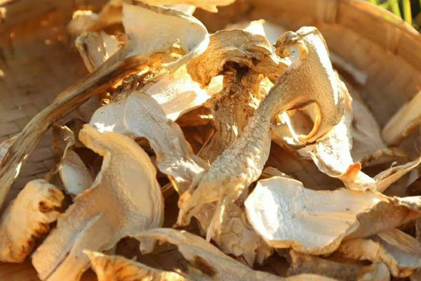 干松茸好消化嗎，干松茸容易熟嗎