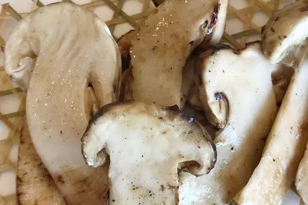 松蕈和松茸是同一種東西嗎 松蕈和松茸是同一種東西嗎