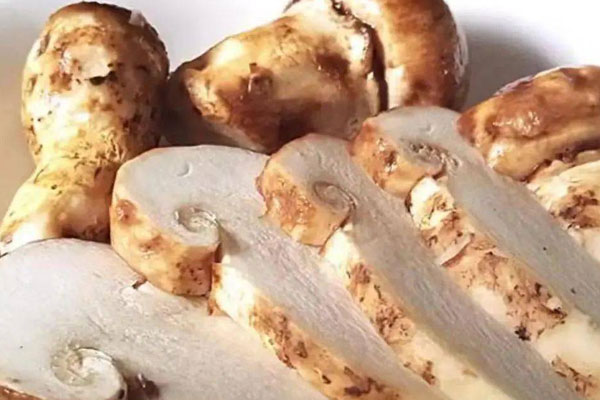 為什么泡松茸酒要高濃度酒 為什么泡松茸酒要高濃度酒