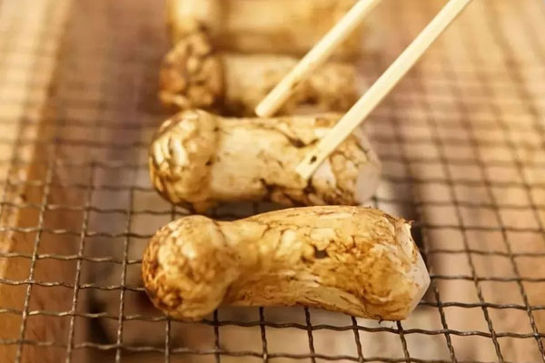 迪慶松茸什么時(shí)間上，松茸一天吃多少合適