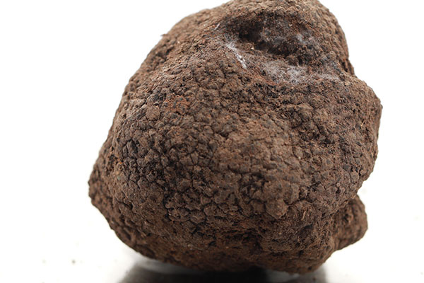 黑松露帶泥巴冷凍嗎，白松露放急凍怎么弄保存更久