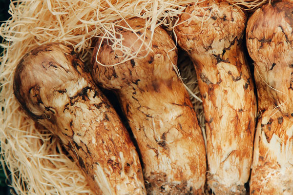 松茸最便宜的季節(jié)，松茸冷凍影響營(yíng)養(yǎng)價(jià)值嗎