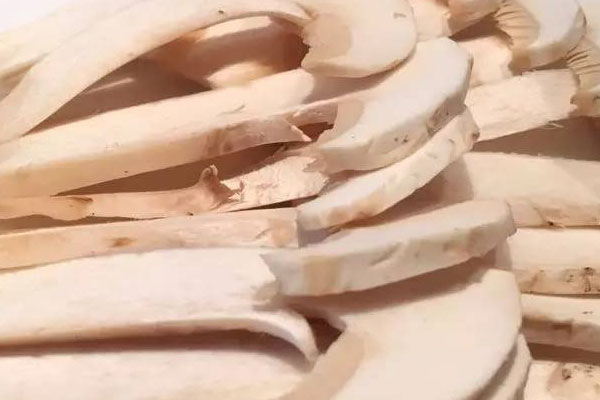 松茸變質(zhì)是從什么時(shí)候開始的 松茸變質(zhì)是從什么時(shí)候開始的