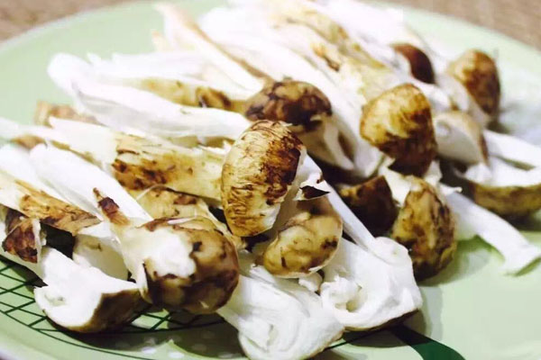 松茸過期了有沒有毒 松茸過期了有沒有毒