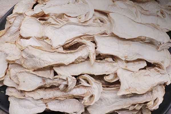 干松茸需要定期晾曬嗎 干松茸需要定期晾曬嗎