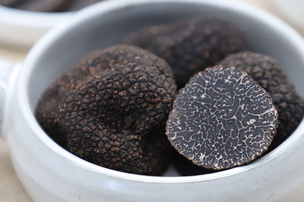 黑松露可以速凍保存嗎，豬拱菌長在什么地方