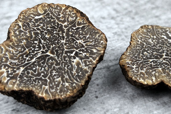 豬拱菌又叫什么，為什么豬可以發(fā)現(xiàn)松露