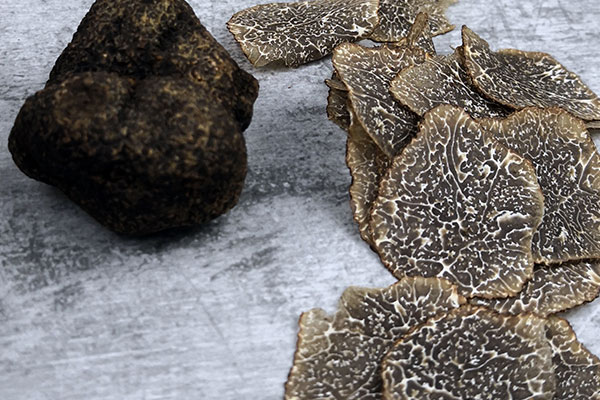 松露對(duì)其生長(zhǎng)環(huán)境挑剔嗎 松露對(duì)其生長(zhǎng)環(huán)境挑剔嗎