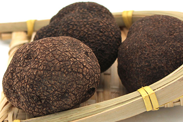 山東有沒有黑松露 山東有沒有黑松露