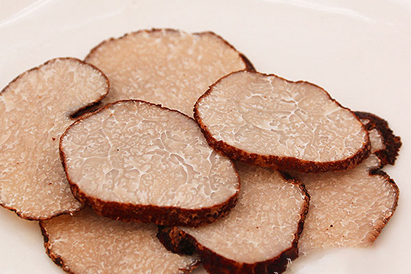 黑松露生長環(huán)境的特點