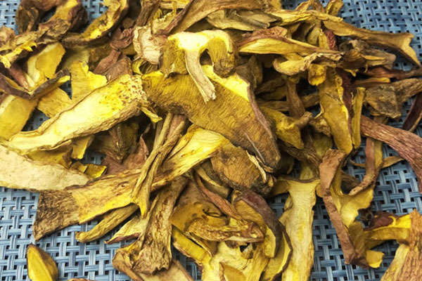 牛肝菌炒意面的食用禁忌 牛肝菌炒意面的食用禁忌