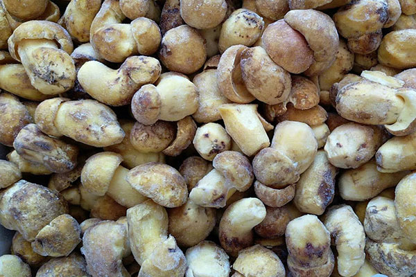 牛肝菌白汁口蘑意粉的功效作用 牛肝菌白汁口蘑意粉的功效作用