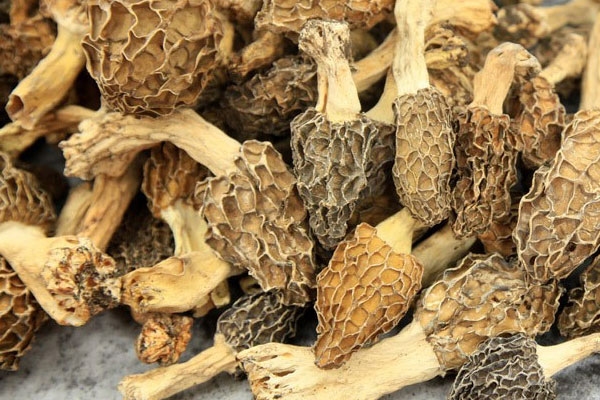 干羊肚菌用多少度的水泡好 干羊肚菌用多少度的水泡好