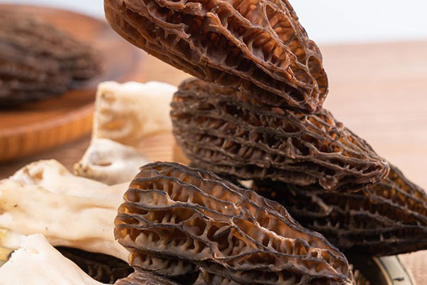 羊肚菌的菌絲怕水嗎 羊肚菌的菌絲怕水嗎