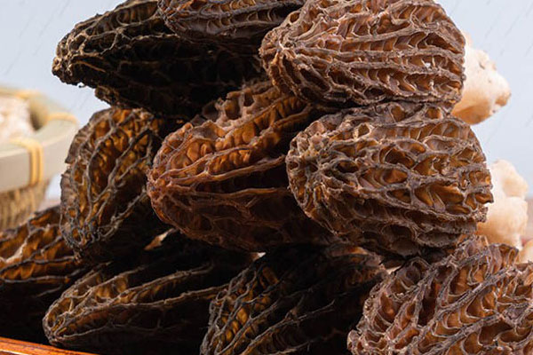 新鮮羊肚菌容易爛嗎 新鮮羊肚菌容易爛嗎