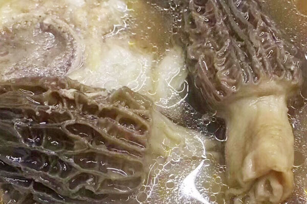 不可以吃羊肚菌的人群 不可以吃羊肚菌的人群