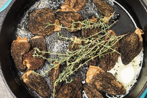 大腸腫瘤能吃羊肚菌嗎 大腸腫瘤能吃羊肚菌嗎