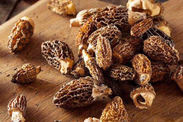 胃癌化療后能吃羊肚菌嗎 胃癌化療后能吃羊肚菌嗎