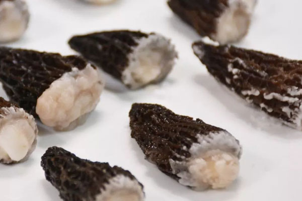 咽喉炎可以吃羊肚菌嗎 咽喉炎可以吃羊肚菌嗎