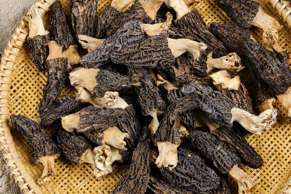 羊肚菌有白色可以吃嗎 羊肚菌有白色可以吃嗎