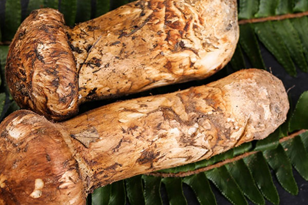 松茸冷凍前要洗嗎 松茸冷凍前要洗嗎