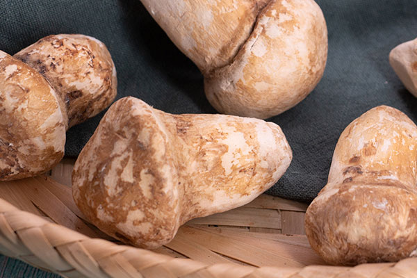 冷凍了5年的松茸可以吃嗎 冷凍了5年的松茸可以吃嗎