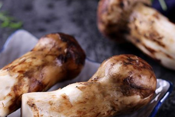 新鮮松茸容易壞嗎 新鮮松茸容易壞嗎