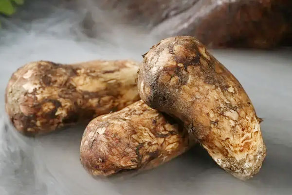 松茸放了三天還能吃嗎，松茸空心了還能吃嗎