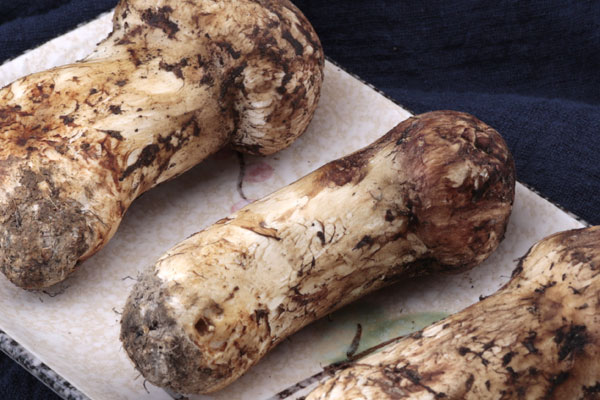 松茸鮮蝦雞蛋面的營(yíng)養(yǎng)價(jià)值 松茸鮮蝦雞蛋面的營(yíng)養(yǎng)價(jià)值