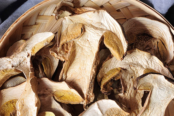 牛肝菌菊花豆腐的食用禁忌 牛肝菌菊花豆腐的食用禁忌