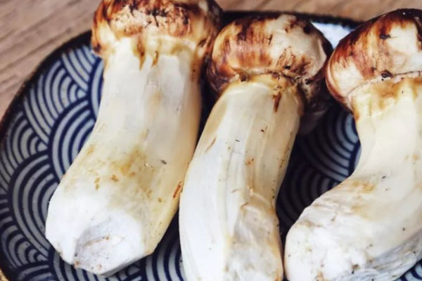 鮮松茸能直接冷凍嗎 鮮松茸能直接冷凍嗎