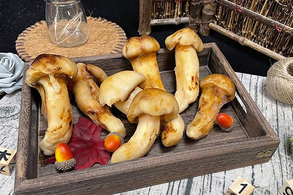 鮮松茸冷凍多長時間不損失營養(yǎng)，冬季有松茸嗎