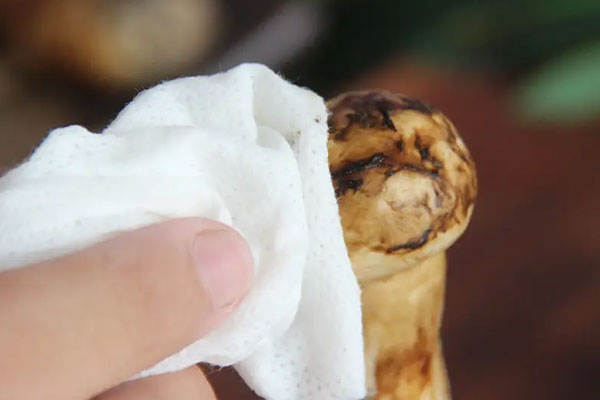 洗松茸難嗎 洗松茸難嗎