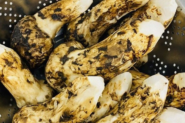 水洗后的松茸怎么處理 水洗后的松茸怎么處理