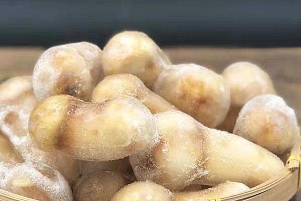 松茸多少天吃一次最好 松茸多少天吃一次最好