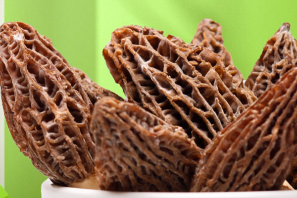 羊肚菌會引起胃痛嗎，胃增生能吃羊肚菌嗎