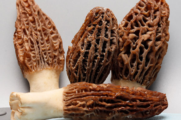 吃羊肚菌會肚子疼嗎，吃羊肚菌會嘔吐嗎