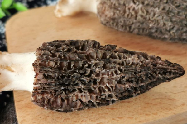 羊肚菌可以補(bǔ)腦安神嗎 羊肚菌可以補(bǔ)腦安神嗎