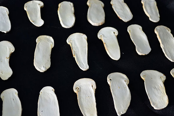 松茸粉怎么做出來的，松茸是不是熱性的