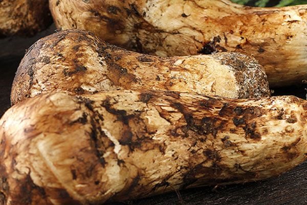 松茸做刺身可以沾水嗎 松茸做刺身可以沾水嗎