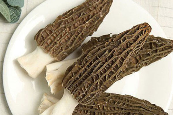 胃熱的人可以吃羊肚菌嗎，痛經(jīng)可以吃羊肚菌嗎