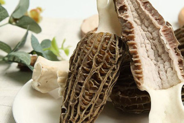 痛經(jīng)能吃羊肚菌嗎 痛經(jīng)能吃羊肚菌嗎