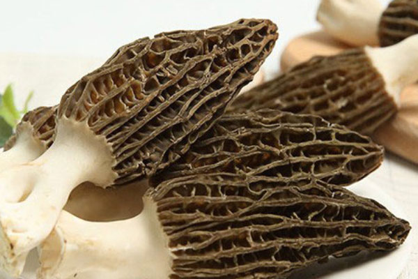 羊肚菌如何吃最壯陽 羊肚菌如何吃最壯陽