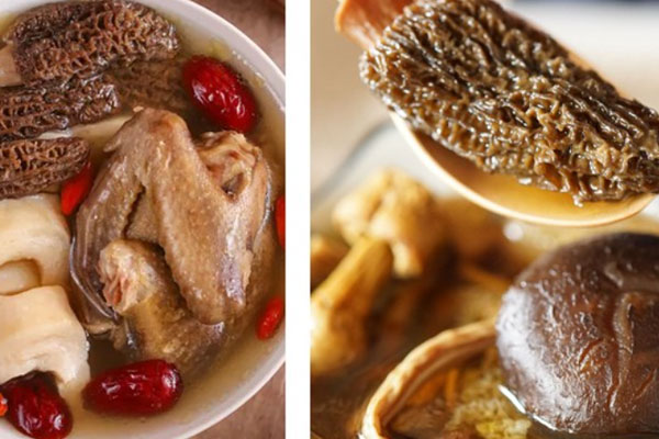 編笠茸是羊肚菌嗎 編笠茸是羊肚菌嗎