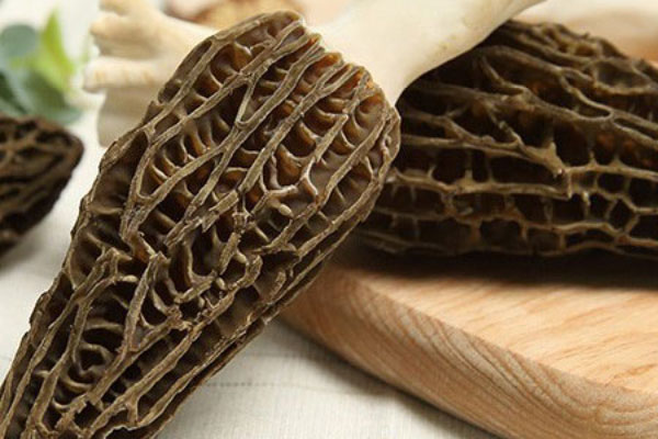 羊肚菌吃多久能增強(qiáng)免疫力 羊肚菌吃多久能增強(qiáng)免疫力