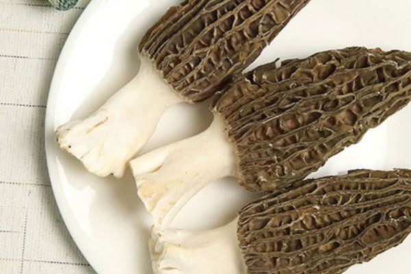 羊肚菌是一個(gè)統(tǒng)稱嗎 羊肚菌是一個(gè)統(tǒng)稱嗎